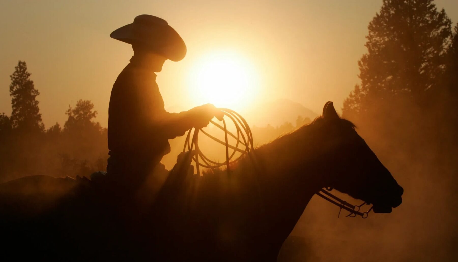 Silhouette of a rider on horseback against a golden sunset